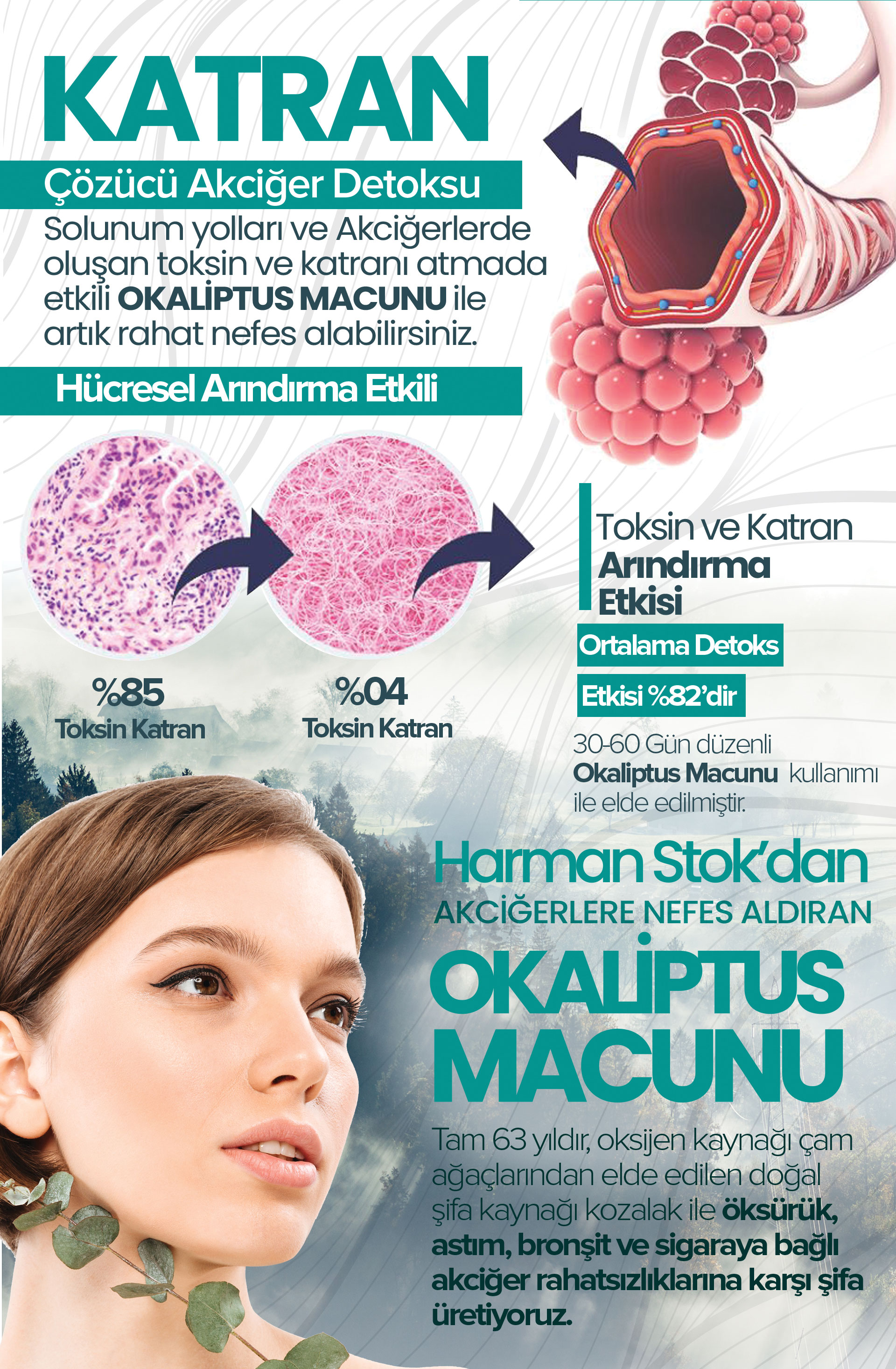 Okaliptus Macunu